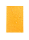 Fossa Hokkaido Pumpkin Pie
