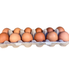 Lily’s Brown Eggs