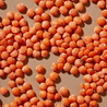 Organic Petite Crimson Lentils Details