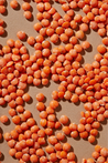 Organic Petite Crimson Lentils